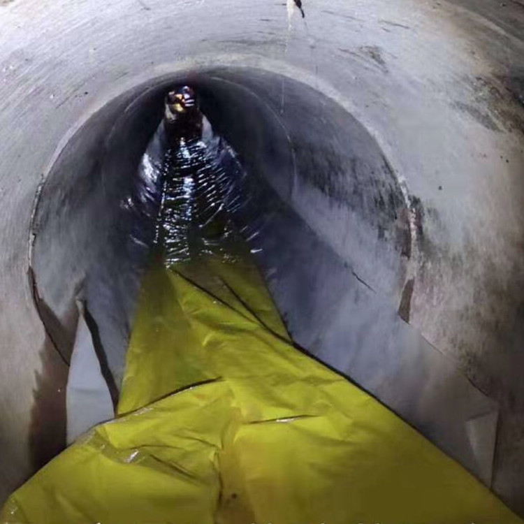 龙州管道光固化修复